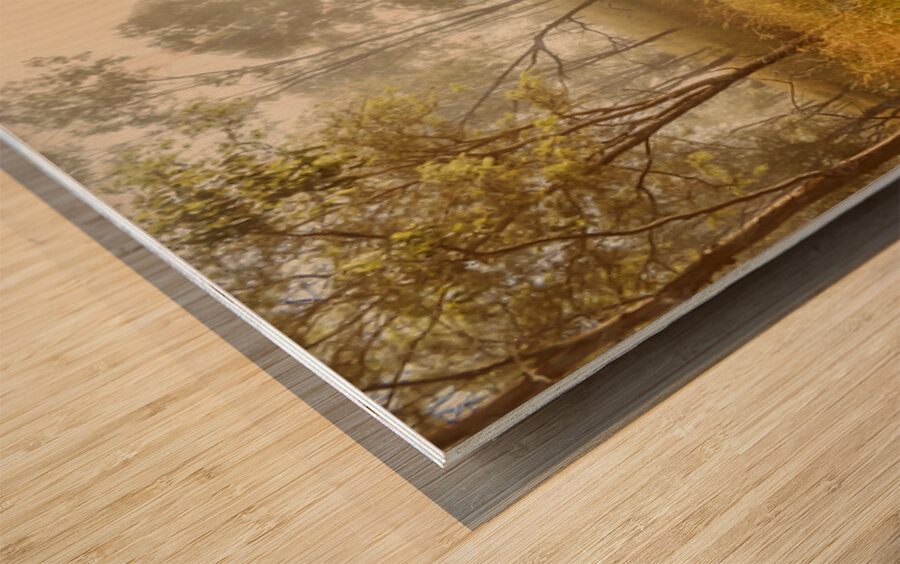 Bushland Backroad Wood print