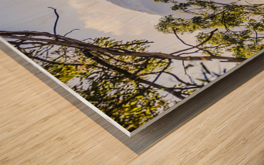 Glimpses Of Mt Perry Wood print