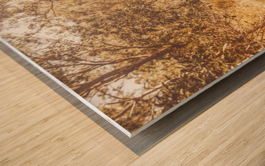 Wooded Trails Wood print