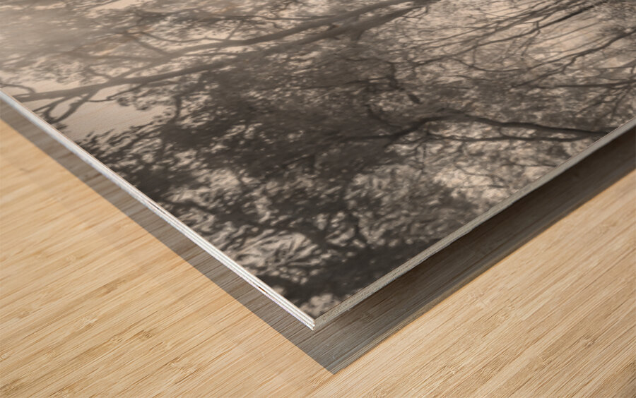 Inland Interplay Wood print