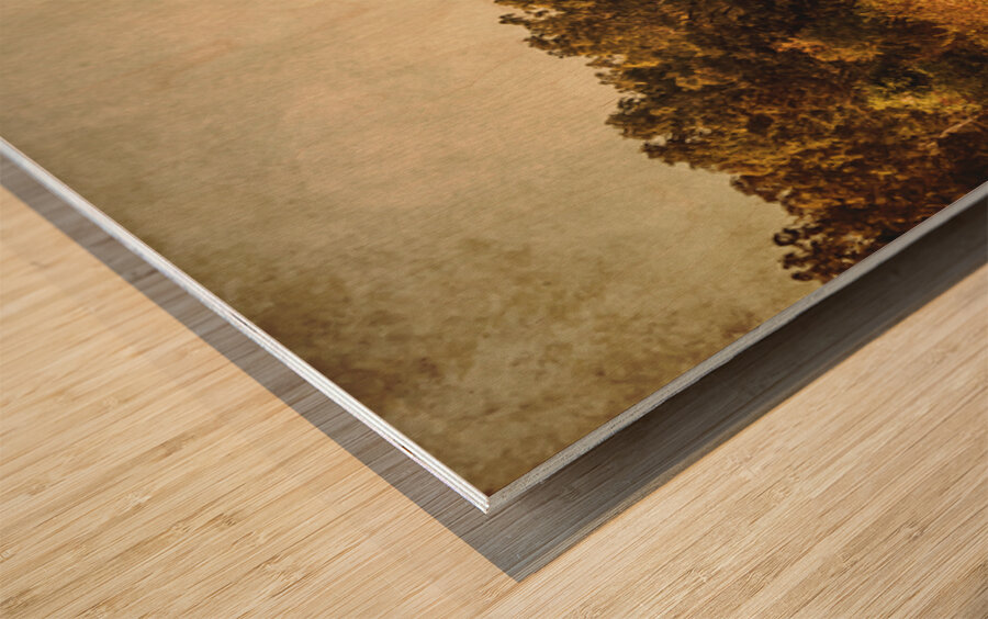 Wild Old Ways Wood print