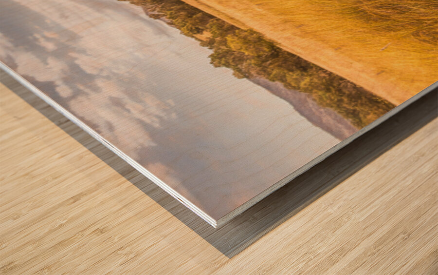 In The Outbacks Wood print