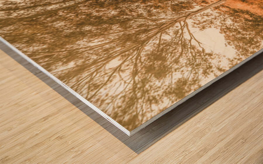 Bucolic Backroad Wood print