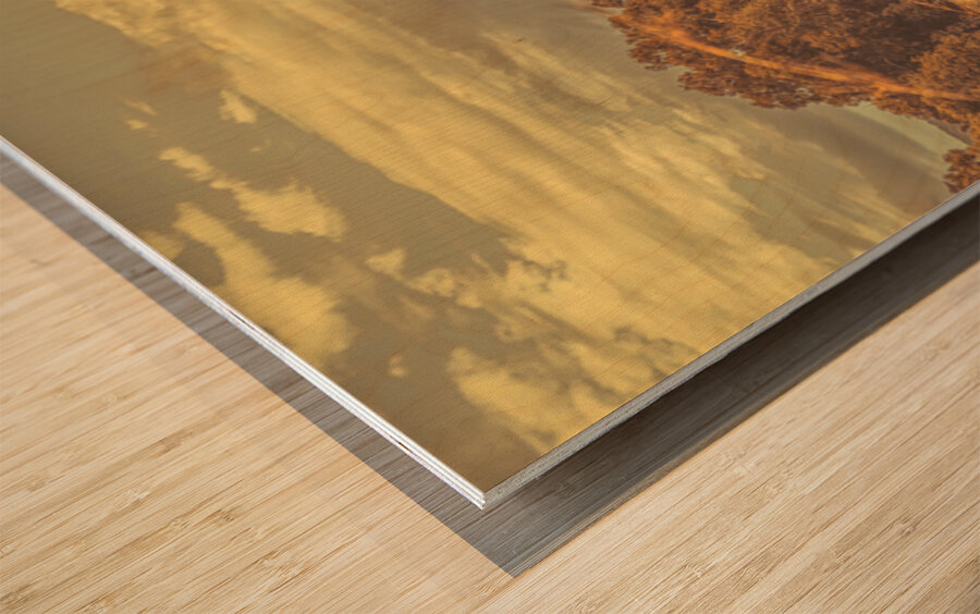 Wind And Fall Fields Wood print