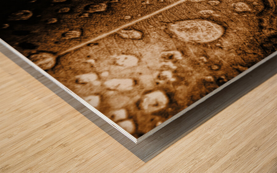 Fall In Rain Wood print