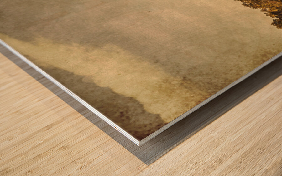 Country Weathered Wood print