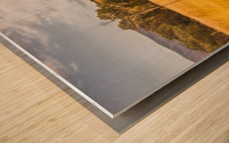 Wide Open Spaces Wood print