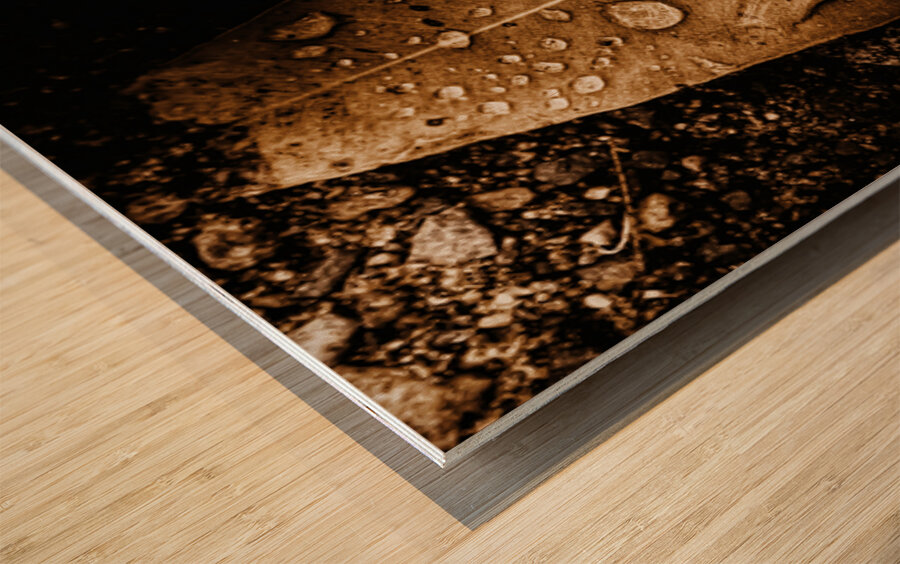 Autumn Rains Wood print