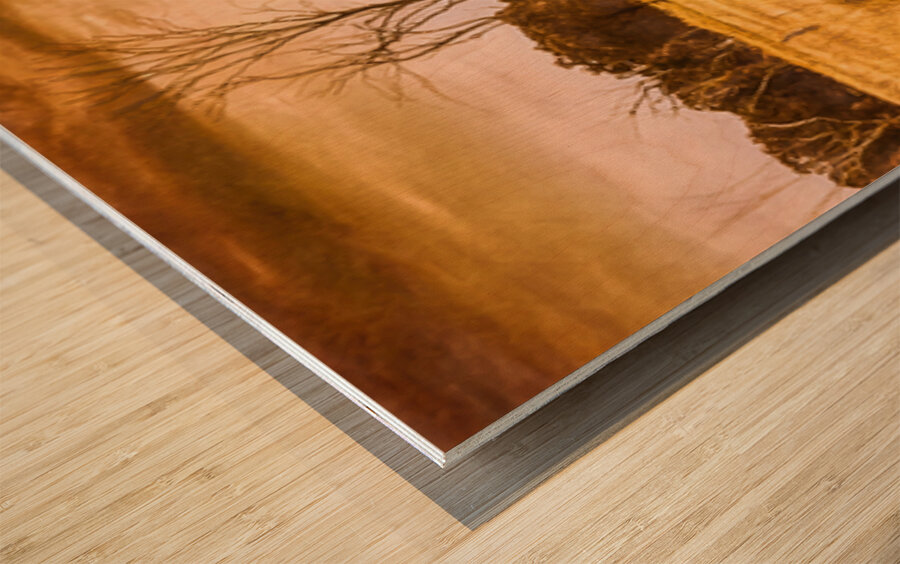 Weatherly Charm Wood print