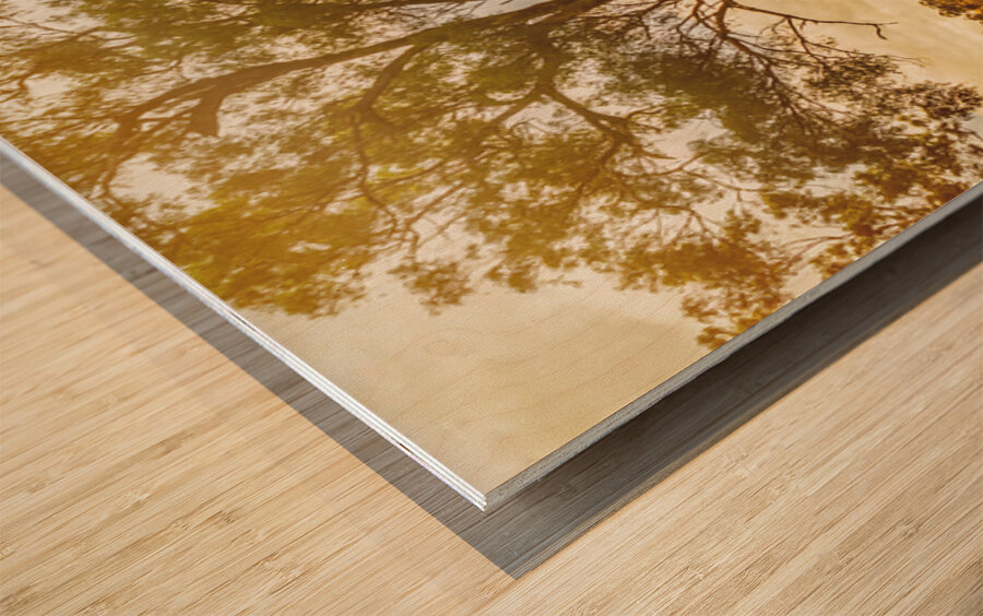 Gin Gin Golden Glow Wood print