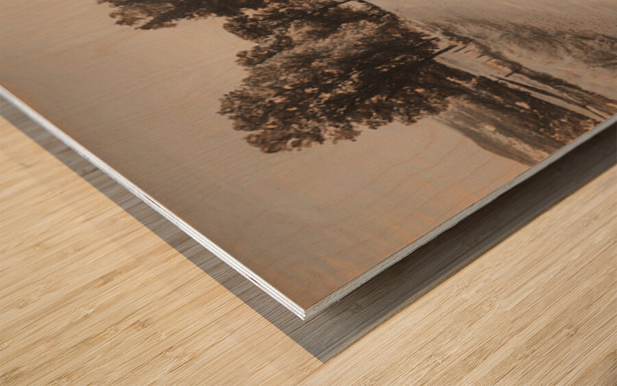 The Vintage Stretch Wood print