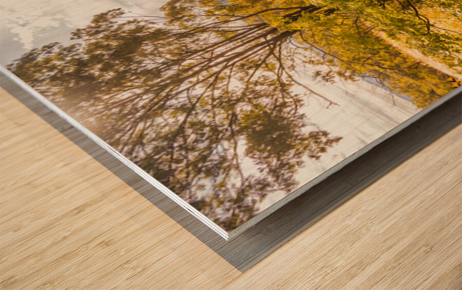 Valley Views Wood print