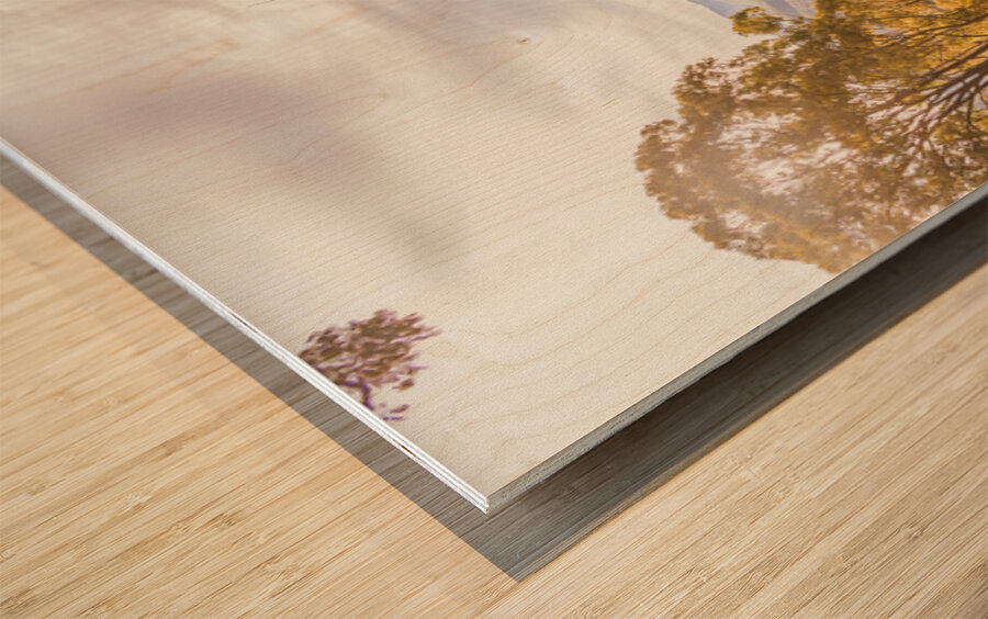 Queensland Country Wood print