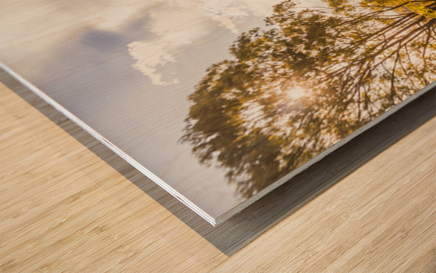 Lofty Heights Wood print