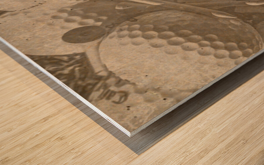 Rough Shot Wood print