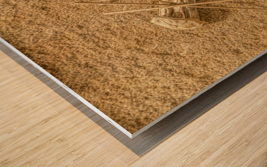 Match Sticks Wood print