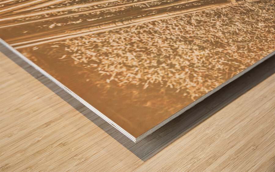 Past Game Memoirs Wood print