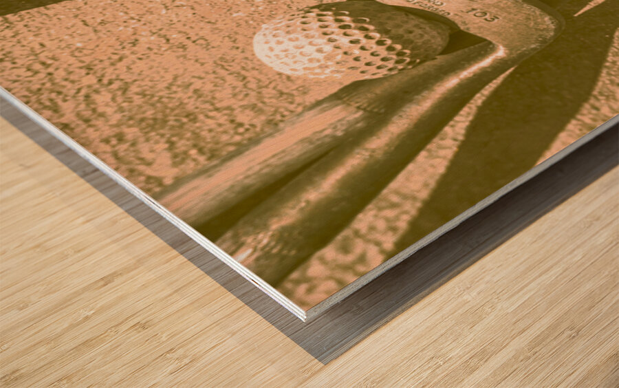 Ironing Day Wood print