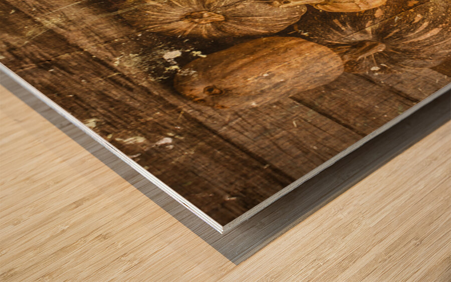 Country Bumpkins Wood print