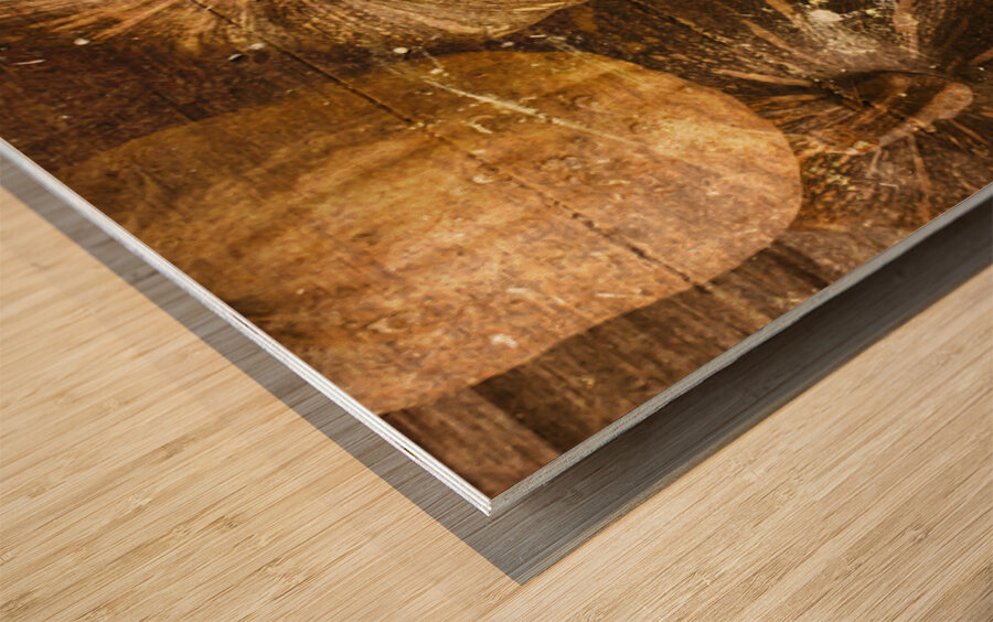 Squash Signboard Wood print