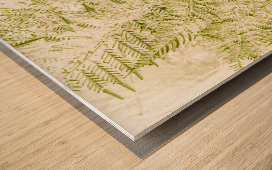 Ferny Forestry Wood print