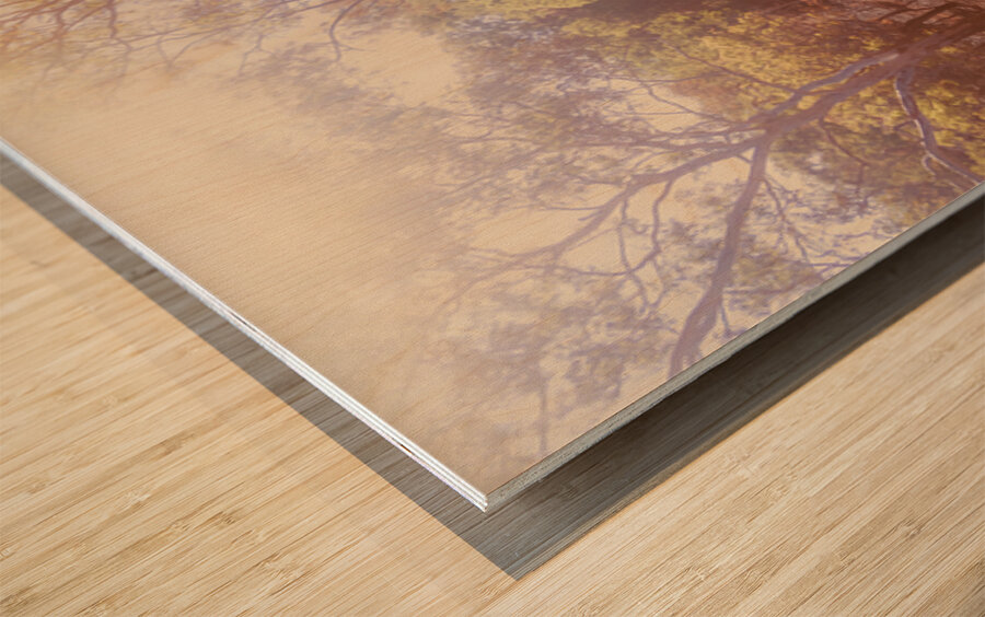 The Warmth Wood print