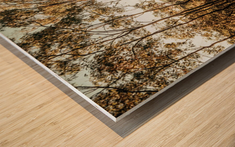 High Country Wood print