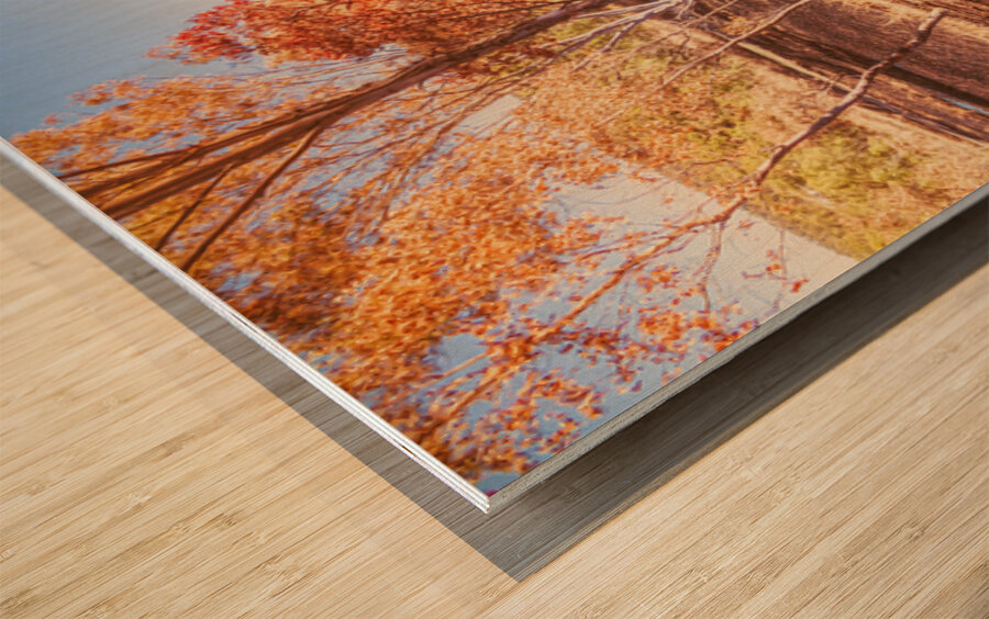 Road Outback Wood print