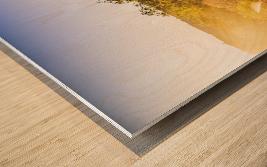 Country Clearing  Wood print