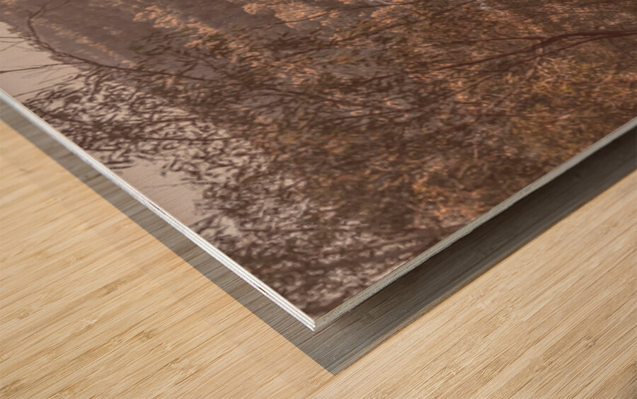 Cosy Country Town Wood print