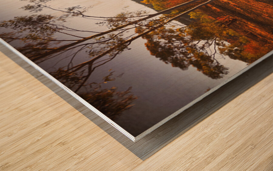 Rural Reds Wood print