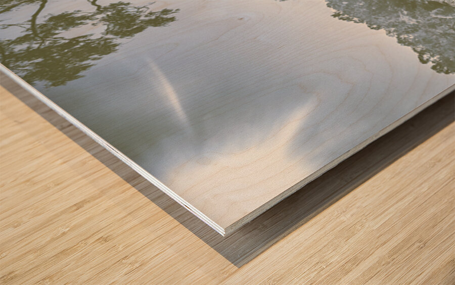 Barren Winterscape Wood print