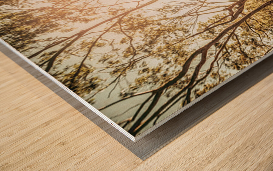 Valley Ridge Road Wood print