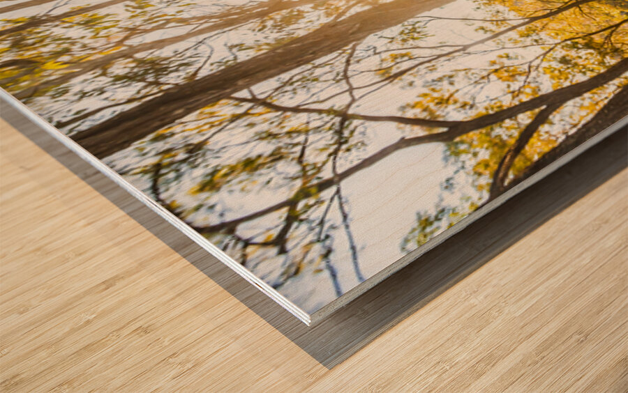 Wooded Light Wood print