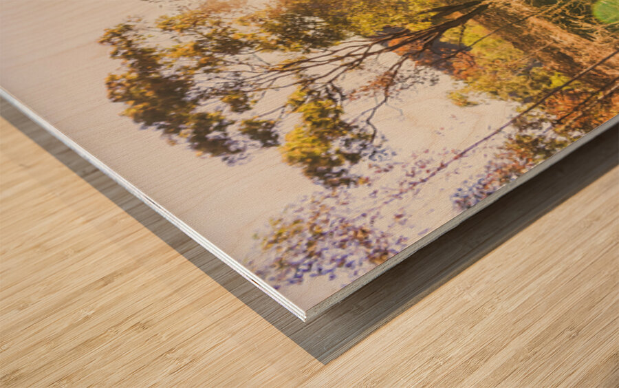 Flares And Fades Wood print