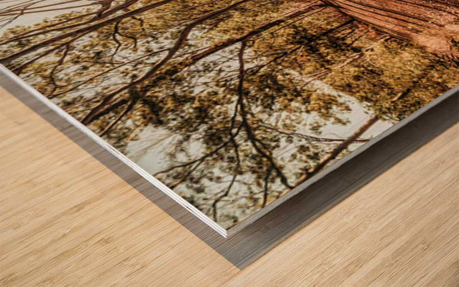 Upcountry Ridgeline Wood print