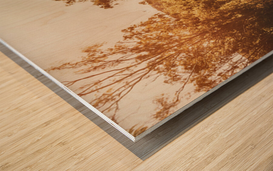 Sunflare Thoroughfare  Wood print