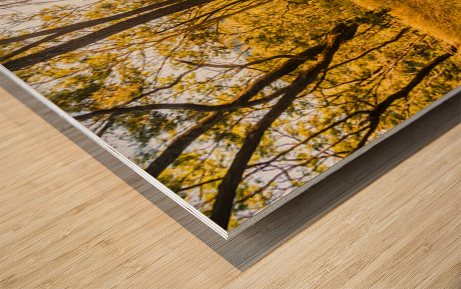 Grasslands Golden Wood print