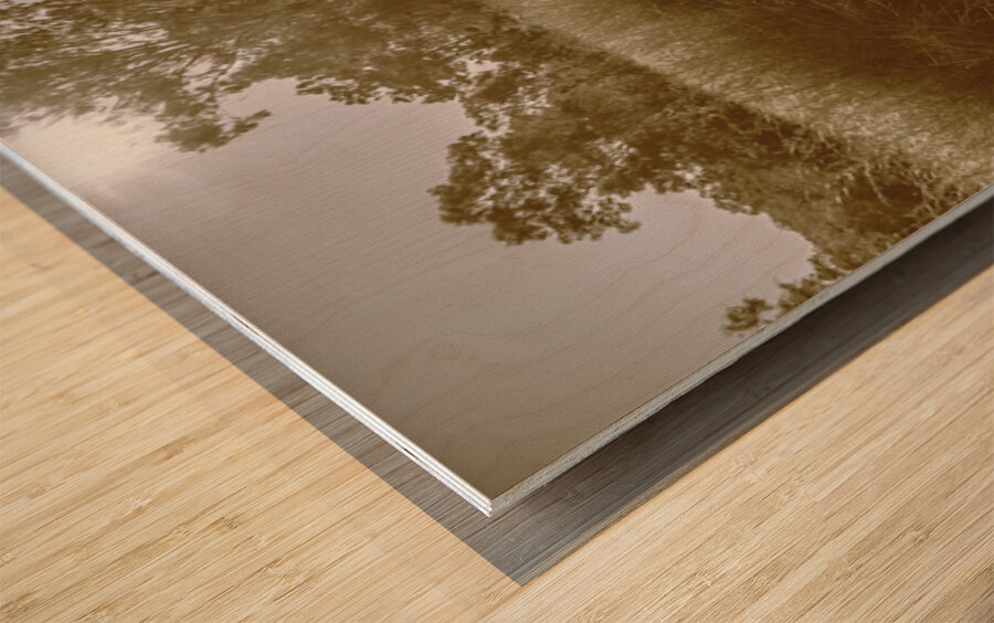 Tessellated Trail Wood print