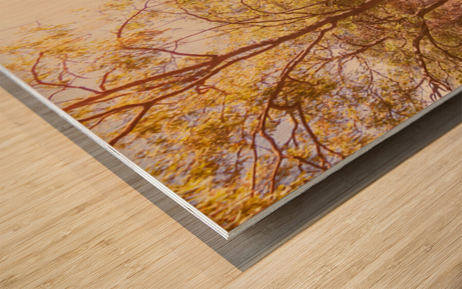 Afternoons Afterglow Wood print