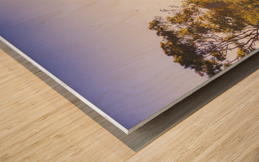 Sunflare Valley Views Wood print