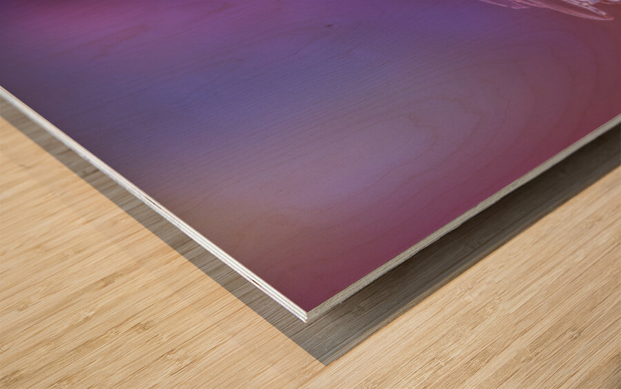 Doughnut Kings Wood print