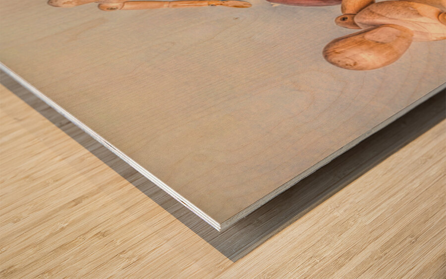 Donut Duo Wood print