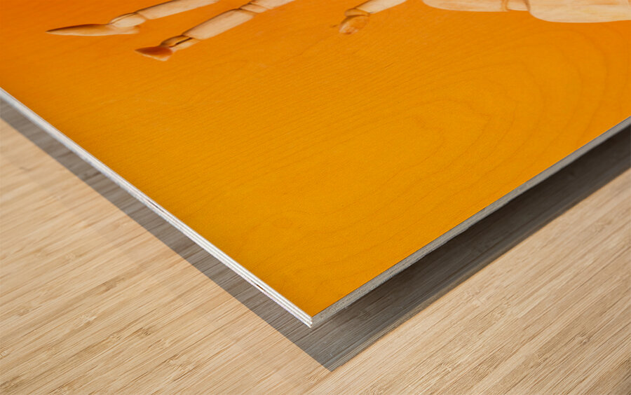 Doughnut Fix Wood print