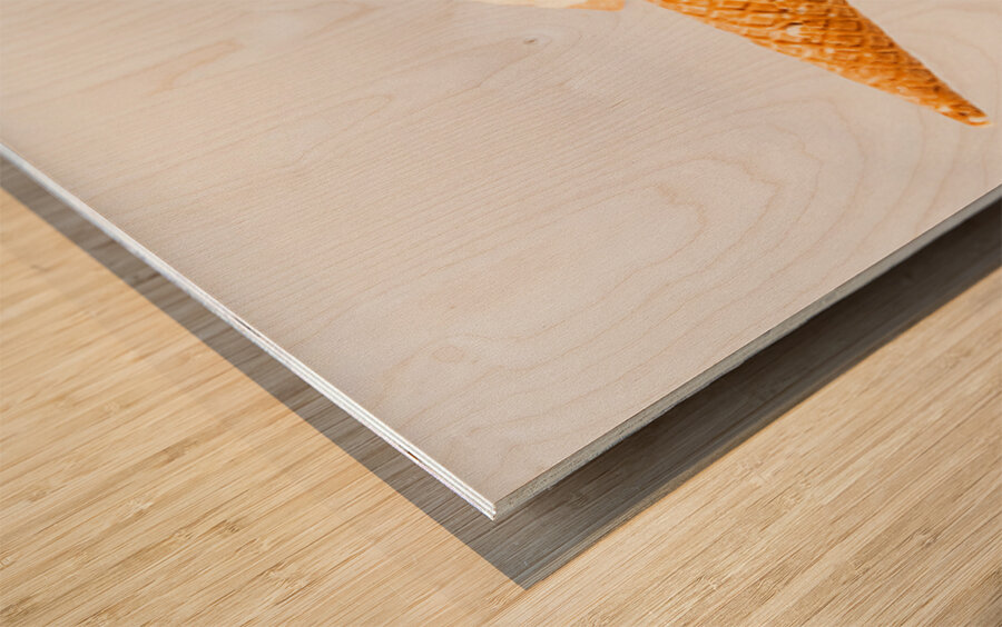 Summer Melt Wood print