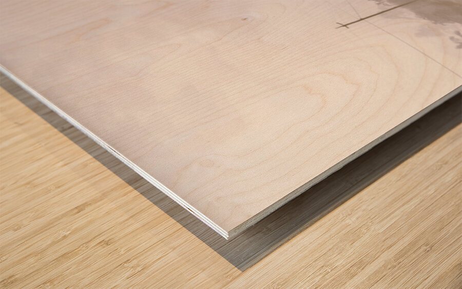 Into The Grey Wood print