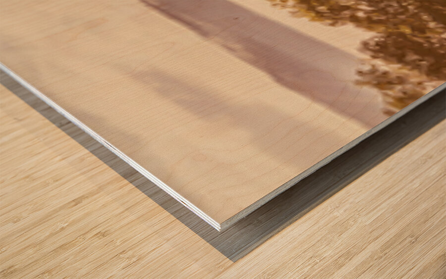 Misty Wonders Wood print