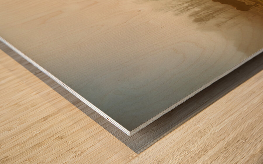 Foggy Farm Wood print