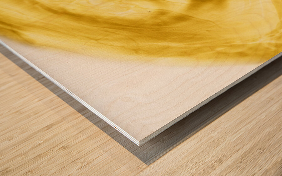 Gyration  Wood print