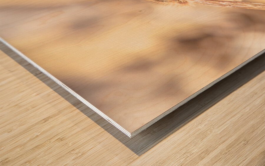 Summery Bee Wood print